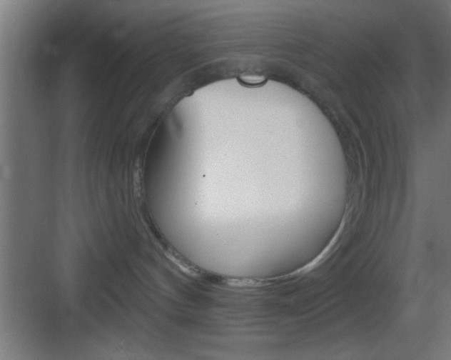 X0000083570144200702090825