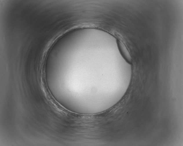 X0000083570145200702090824