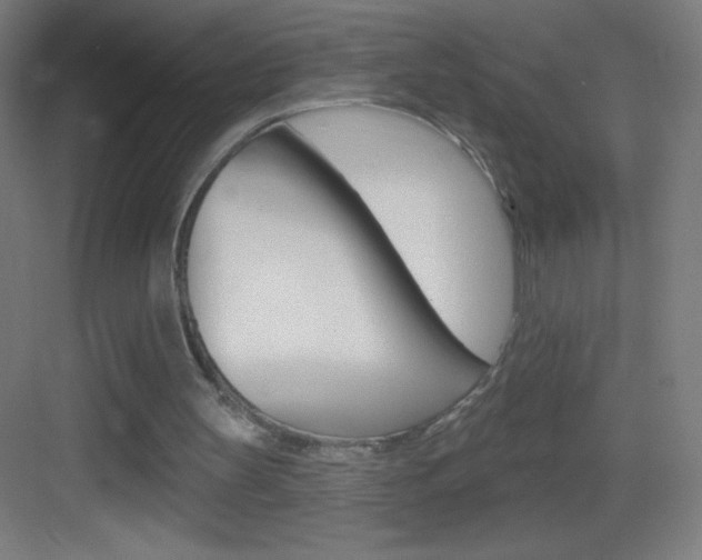 X0000083570147200702090824
