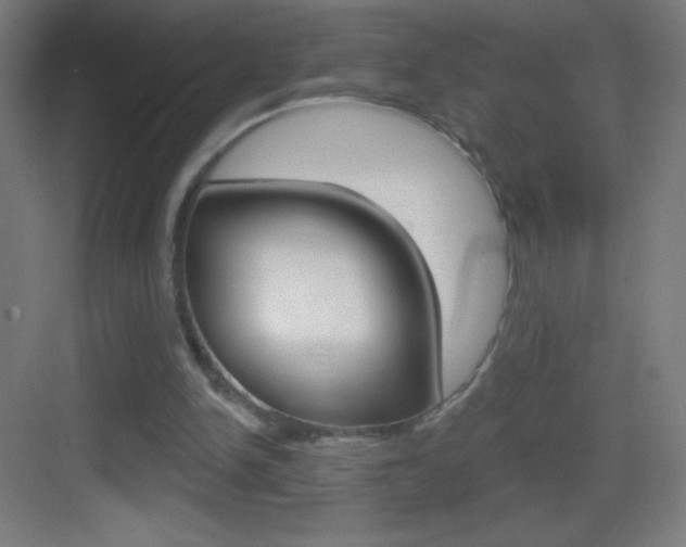 X0000083570150200702090824