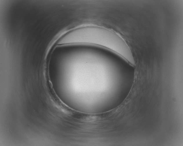 X0000083570152200702090824