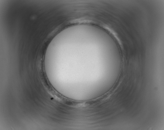 X0000083570153200702090824