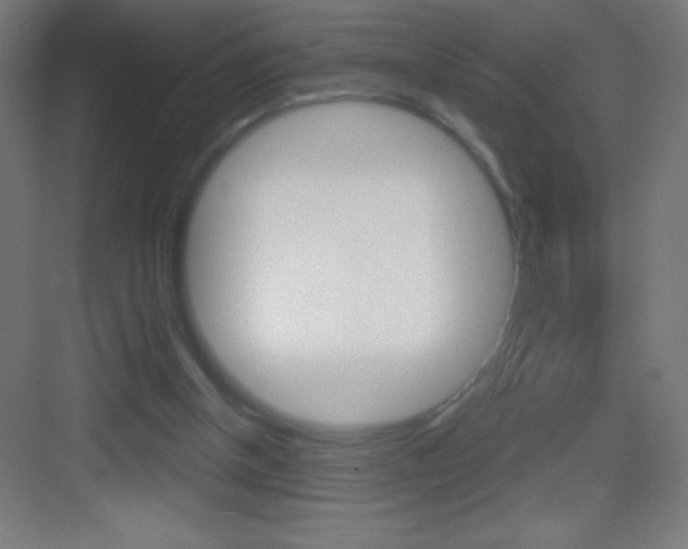 X0000083570154200702090824