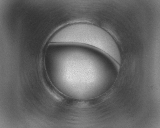 X0000083570156200702090824