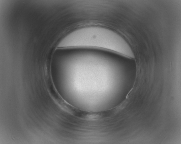 X0000083570158200702090824