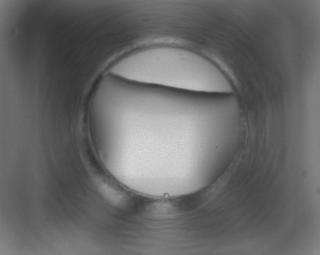 X0000083570159200702090824