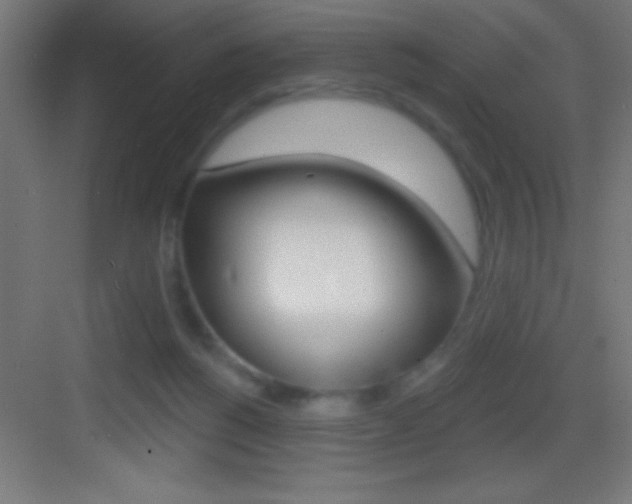X0000083570168200702090824