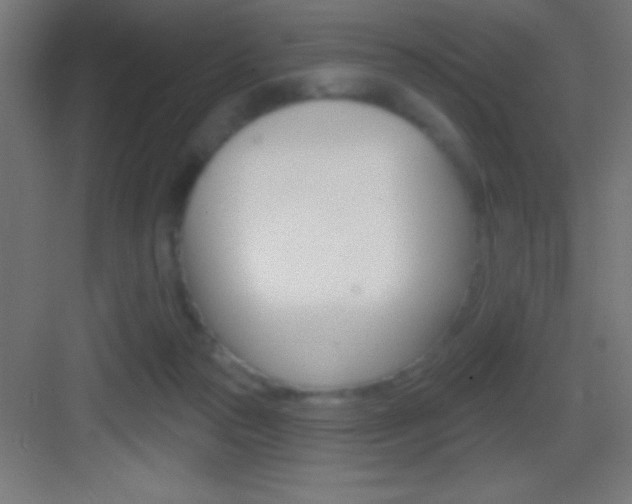 X0000083570169200702090824
