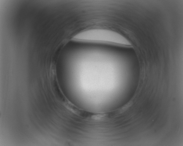 X0000083570172200702090824