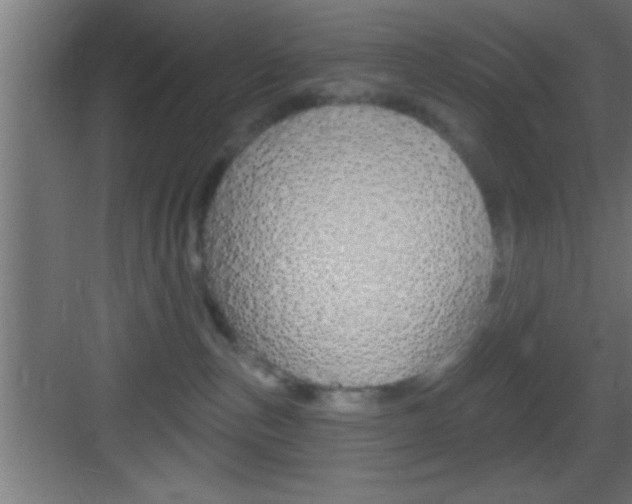 X0000083570187200702090825