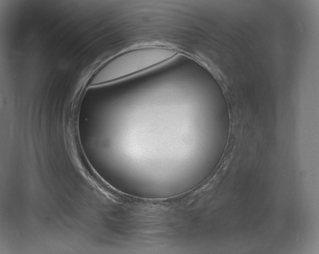 X0000083570193200702090824