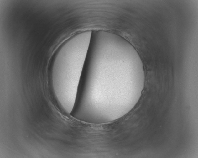X0000083570194200702090824