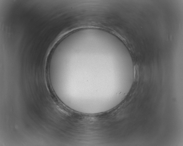 X0000083570195200702090824