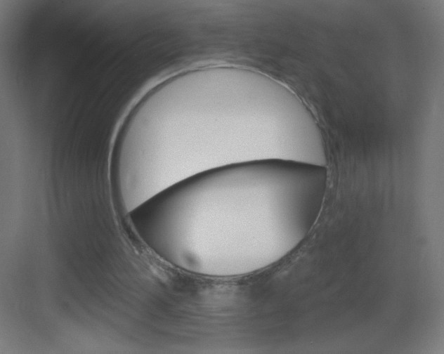 X0000083570196200702090824