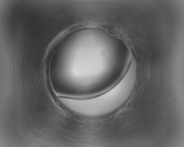 X0000083570197200702090824