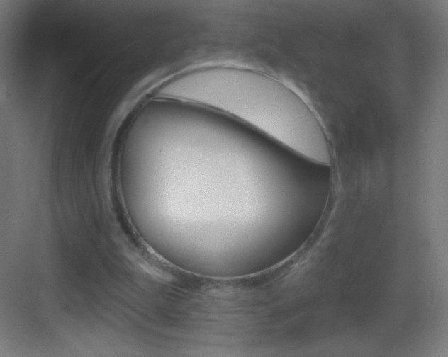 X0000083570199200702090824