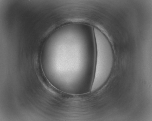 X0000083570201200702090824