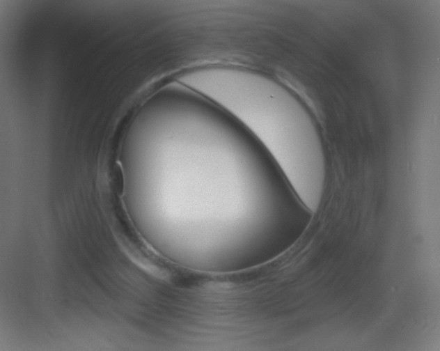 X0000083570203200702090824