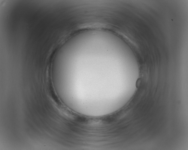 X0000083570206200702090824