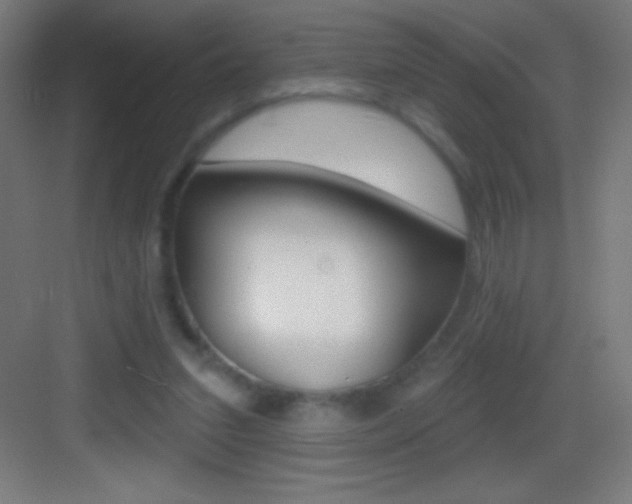 X0000083570207200702090824