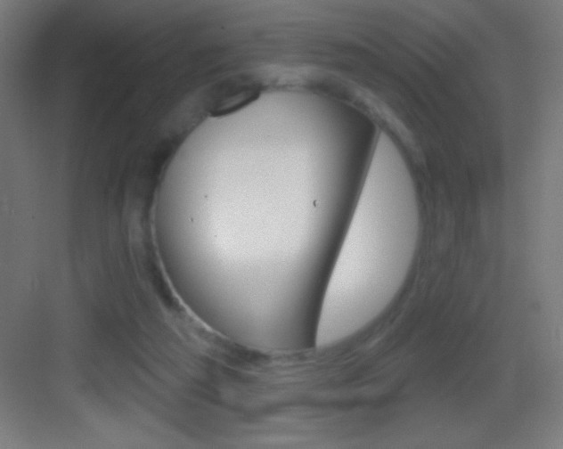 X0000083570209200702090824