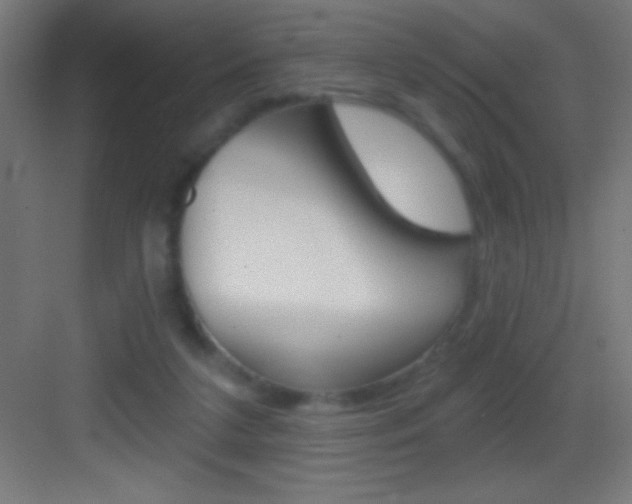 X0000083570211200702090824