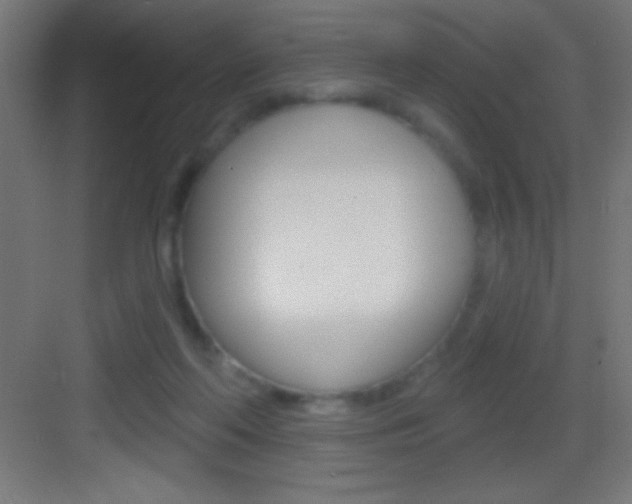 X0000083570214200702090824