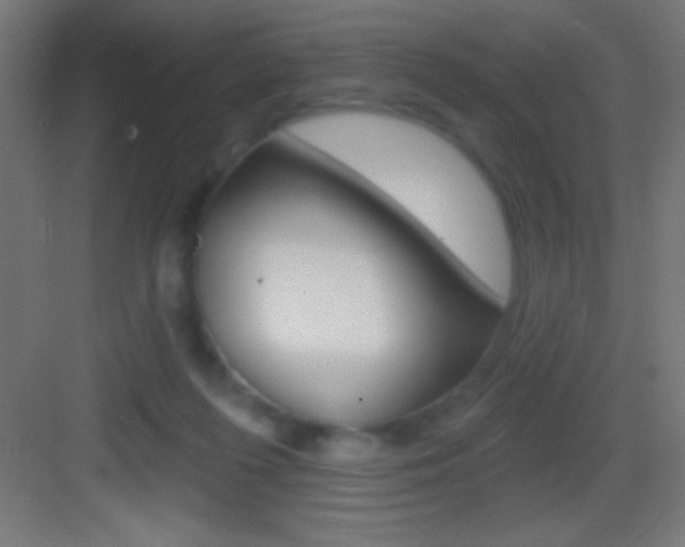X0000083570215200702090824