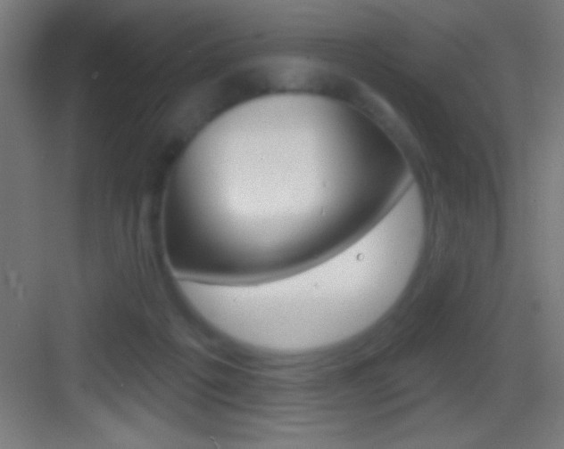 X0000083570217200702090823
