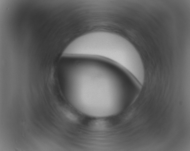 X0000083570219200702090823