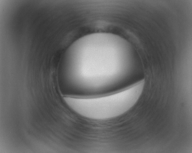 X0000083570225200702090823