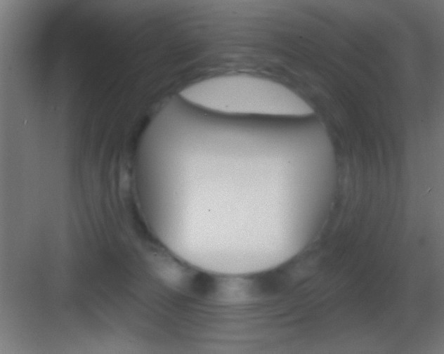 X0000083570226200702090823