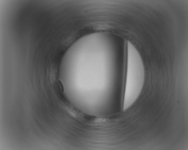 X0000083570227200702090823