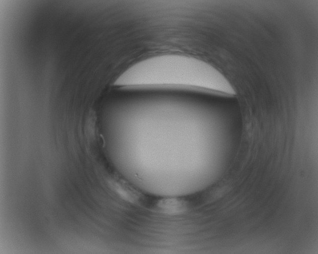 X0000083570231200702090823