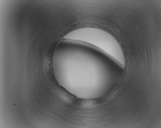 X0000083570235200702090823
