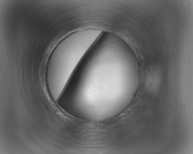 X0000083570241200702090822