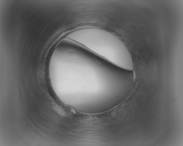 X0000083570243200702090822