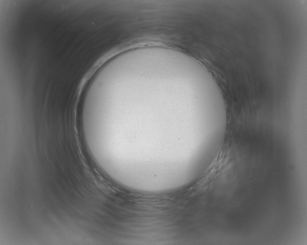 X0000083570244200702090822