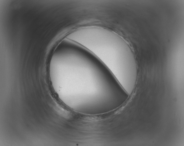 X0000083570245200702090822