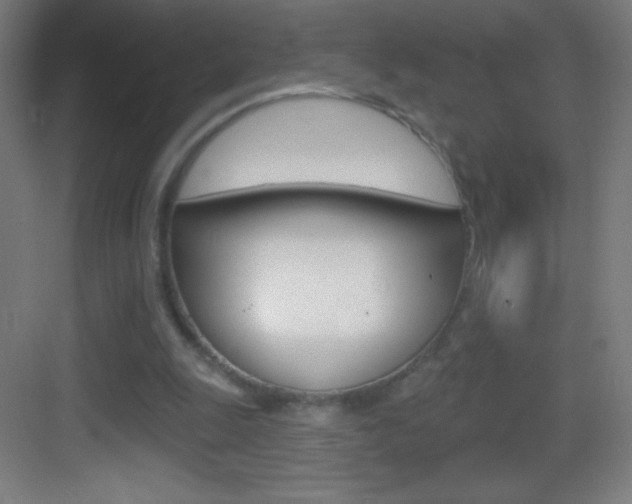 X0000083570247200702090822