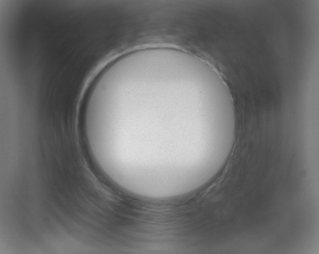 X0000083570248200702090822