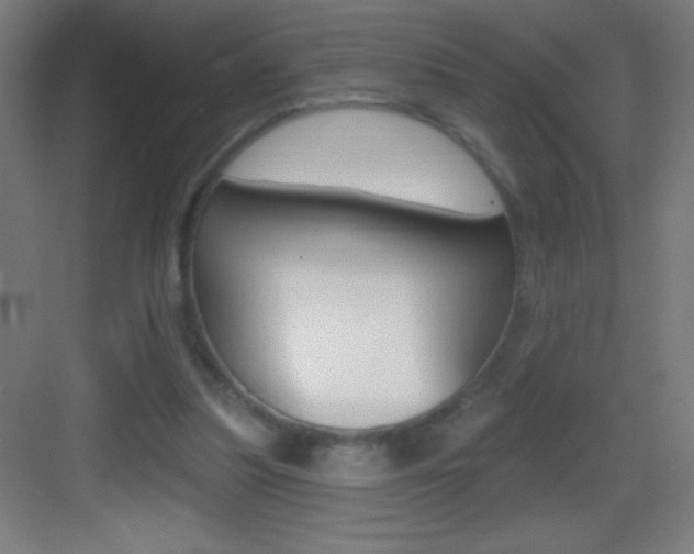 X0000083570251200702090822