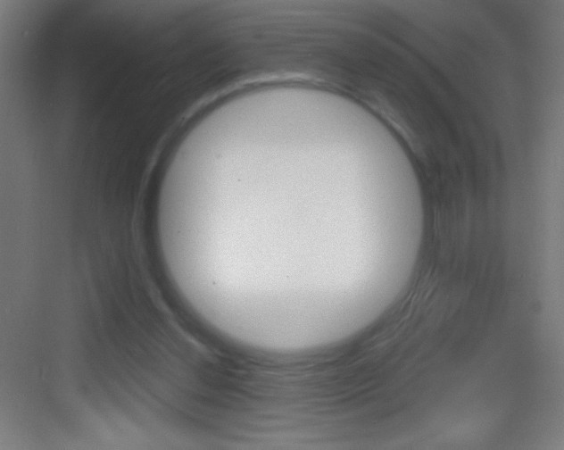X0000083570252200702090822