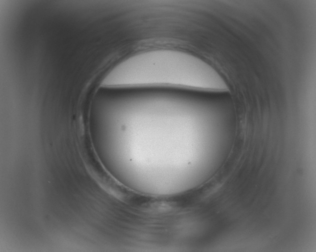 X0000083570254200702090822