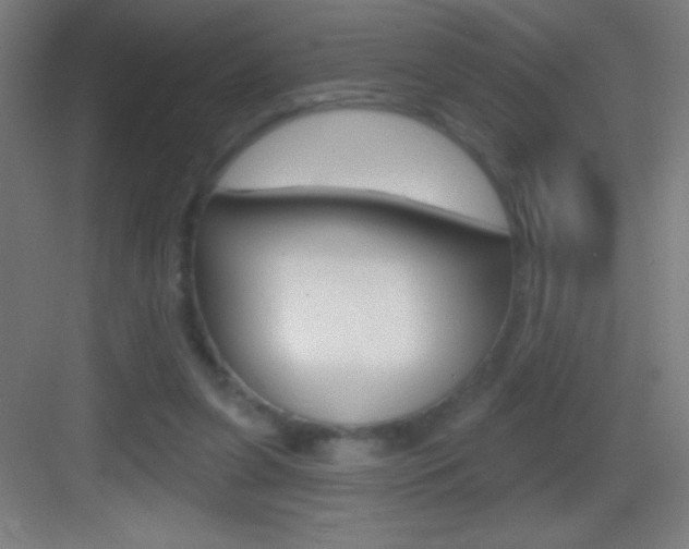 X0000083570255200702090823