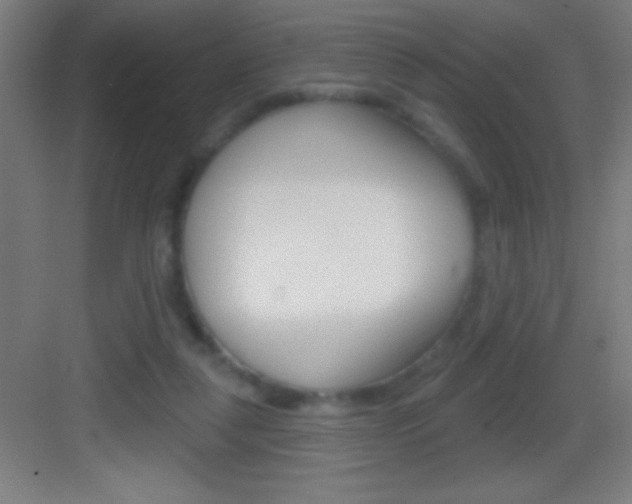 X0000083570259200702090823