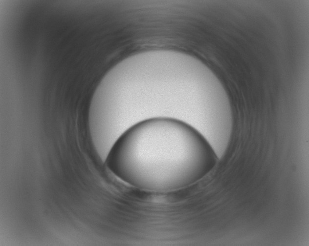 X0000083570264200702090823