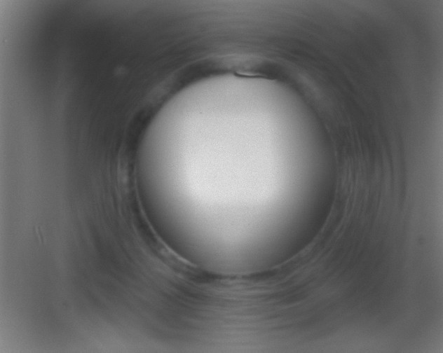 X0000083570268200702090823