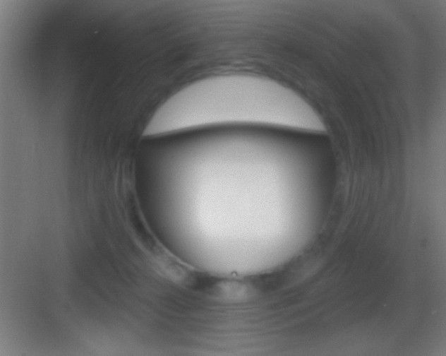 X0000083570272200702090823