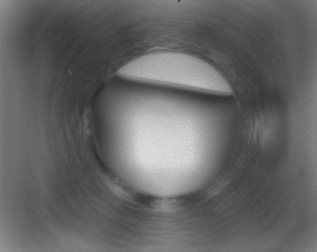 X0000083570273200702090823